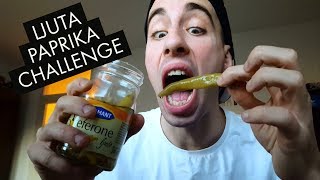 LJUTA PAPRIKA CHALLENGE  NBA 2K18 [upl. by Eceinert]