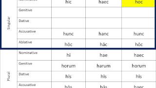 Demonstrative Pronouns amp Adjectives  hic haec hoc [upl. by Ieso]