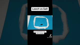 leech vs salt [upl. by Adamson109]