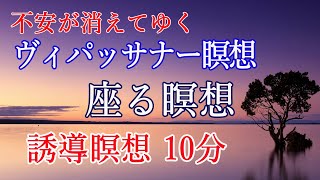 【ヴィパッサナー瞑想】座る瞑想 やり方 10分 誘導瞑想 [upl. by Halimeda]