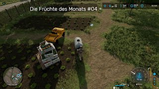 LS22 Hof Bergmann  Version 15  Die Früchte des Monats  Wir erkunden das Sommer Update 04 [upl. by Refinnaej499]