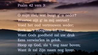 Psalm 42 vers 1 3 en 5  t Hijgend hert der jacht ontkomen [upl. by Eiveneg]