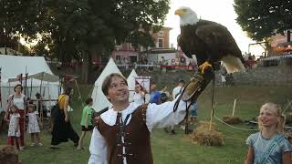 12 Srednjovjekovni festival oko kaštela Morosini  Grimani [upl. by Jaban]