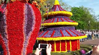 Flower ParadeHollandMust Watch [upl. by Fenelia659]