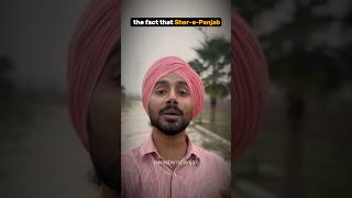 Nanak Shahi Coins in Arjan Dhillons Sher E Punjab 🪙  Meaning Explained ArjanDhillon7 [upl. by Gabe]