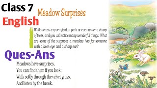 Meadow surprises poem questions answer  Class 7 English [upl. by Adama]