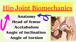 Hip Joint Biomechanics introduction with notes in detail [upl. by Radcliffe]