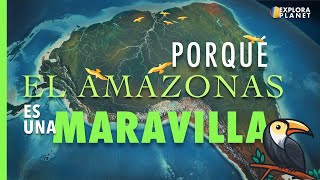 Porque es Importante El Amazonas [upl. by Ahsemad502]