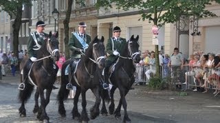 Schützenzug Düsseldorf Derendorf 20130706 Video 2 [upl. by Wawro]