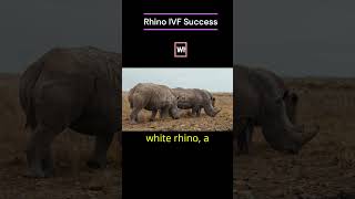 Mindblowing new discoveries facts rhino browndwarf spaceknowledge biologyfact [upl. by Dorolice]