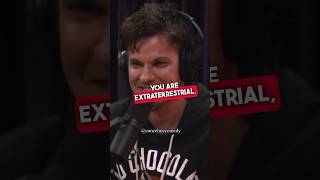 THEO VON ROASTS JOE ROGAN🤣🔥theovon joerogan comedy jre [upl. by Anaigroeg]