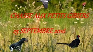 Chasse exceptionnelle aux petits gibiers [upl. by Gnouhk]