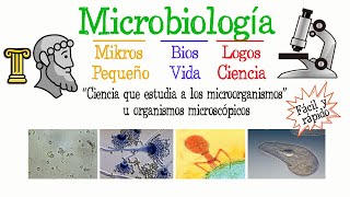 🔍¿Qué es la Microbiología🔬 Fácil y Rápido  BIOLOGÍA [upl. by Mellette]