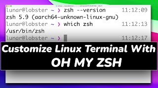 How To Customize Linux Terminal With OH MY ZSH 2023  OH MY ZSH Tutorial [upl. by Yarised]