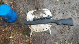 Winchester 1100 kills big old rat [upl. by Kira]