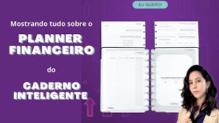 Refil Planner Financeiro Caderno Inteligente l Eu lancei um produto com o CI [upl. by Rebak]