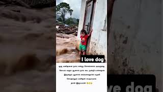 I love dog ❤️🐕🐕🐕 tamilpets tamilmusic song funny short viralvideo dog sad lovedog [upl. by Iteerp]