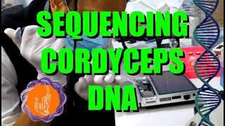 DNA sequencing at Home CITIZEN SCIENCE NANOPORE SEQUENCING HOME LAB Cordyceps militaris genome [upl. by Eiramik853]