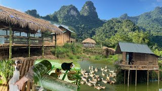 TIMELAPSEFULL VIDEO 120 days Build a farm life Bamboo house  chicken coop goat guinea pig [upl. by Frederigo]