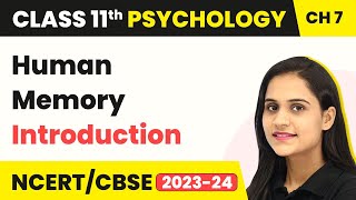 Human Memory  Introduction  Class 11 Psychology Chapter 7 [upl. by Rawdon]