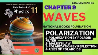 Understanding Polarization and Maluss Law  Physics 11  Chapter 9 Waves Lecture 8  NBF [upl. by Eelrebma696]