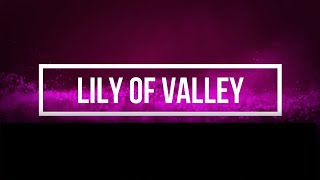 The Lily Of The Valley with Lyrics gospel hymn song [upl. by Jemima]