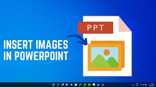 How to Add Images to Your PowerPoint Presentation – StepbyStep Guide [upl. by Leunamme593]