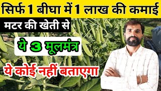 मटर की खेती से लाखों की कमाई के 3 मूलमंत्र  Matar Ki Kheti  Pea Farming [upl. by Fink]