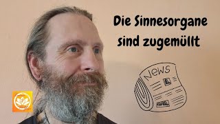 Die Sinnesorgane sind zugemüllt [upl. by Urita]