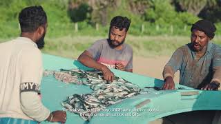 Rebuilding Lives Along Trincomalee’s Shores The Resilient Journey of Senthilnathan [upl. by Onia]