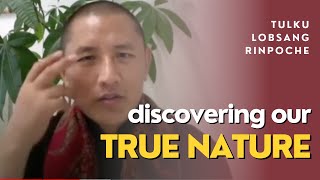 TULKU LOBSANG RINPOCHE  Discovering Our True Nature [upl. by Sudnac]