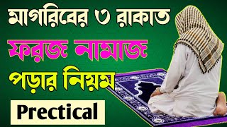 মাগরিবের ৩ রাকাত ফরজ নামাজ পড়ার নিয়ম 🔥Magrib ki namaz 🔥 Magriber namaz porar niom [upl. by Herzberg]