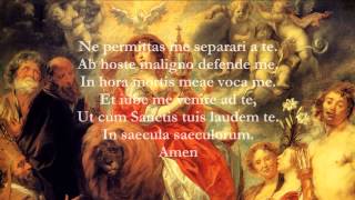 Catholic Prayers  Anima Christi Latin [upl. by Demmahom103]