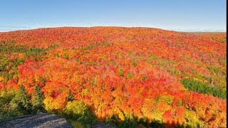 Lutsen Mountain Fall Colors 2021 Minnesota Fall Colors [upl. by Notak448]