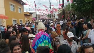 fiesta de moyahua Zacatecas 2023 [upl. by Ahseihs]