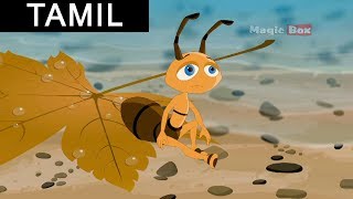 The Ant And The Doveஎறும்பும் புறாவும்  Aesops Fables In Tamil For Kids [upl. by Aynekal]