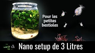 UN AQUARIUM LOW TECH DE 3L  Pour des petits invertébrés Daphnies Tubifex [upl. by Vere]