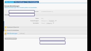 DNS Einstellungen für Domains ändern 1und1 1amp1 [upl. by Uzzi408]