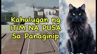 KAHULUGAN NG ITIM NA PUSA SA PANAGINIP [upl. by Ander361]