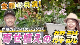 【超有料級】quot花屋のせがれのジュンさんquotと寄せ植え対決！寄せ植えテクニックも大公開！【初心者向け】【ガーデニング】【園芸チャンネル】 [upl. by Rep760]