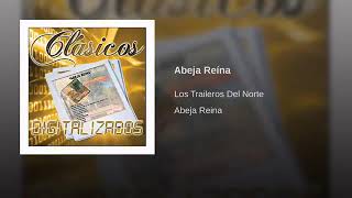 Los Traileros del Norte Abeja Reina [upl. by Ligriv]