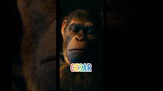 KINGDOM OF PLANET OF APES 2024 HINDI DUBBED PART 1movie hindidubbed hollywood shorts [upl. by Rose403]