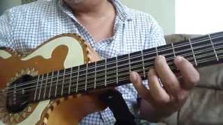 la tipica polka how to play it on the bajo sexto [upl. by Lundt]