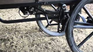 Miniature Horse Show Wagon [upl. by Doralynne]