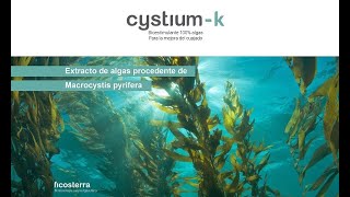 Beneficios del alga Macrocystis frente a otras algas del mercado Ecklonia y Ascophyllum [upl. by Oironoh]