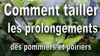 Verger Comment tailler les prolongements des pommiers en espalier [upl. by Nesnej]