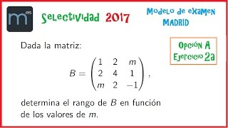 Rango de una matriz y parámetros  Examen Modelo Ebau Evau Selectividad Madrid 2017 [upl. by Harland]