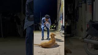 Condam prank 😂 with dog 🐕 shorts viralshorts funnyvideo foryou comedy [upl. by Suqram580]