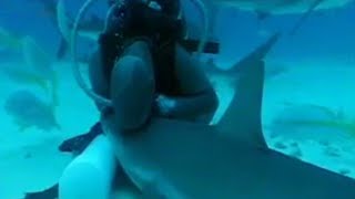 Woman Kisses Sharks in the Wild  BBC Studios [upl. by Delmore66]