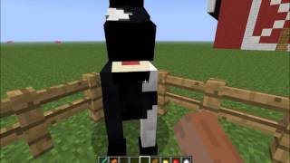 Minecraft Comment adopter un cheval   162 [upl. by Binetta]